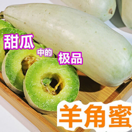图片 羊角蜜甜瓜 (熟透易碎) ca.700/800g 整颗 重量稍有偏差