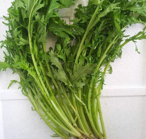 图片 雪里蕻（hóng）新鲜 雪菜 250/300g