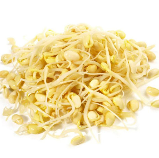 Bild von Sojasprossen 750g 