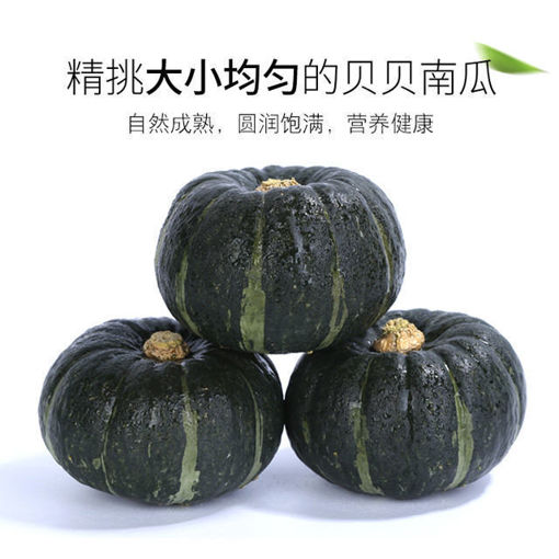 图片 日式贝贝南瓜 香甜软糯 ca.1.8kg-2kg 产地西班牙