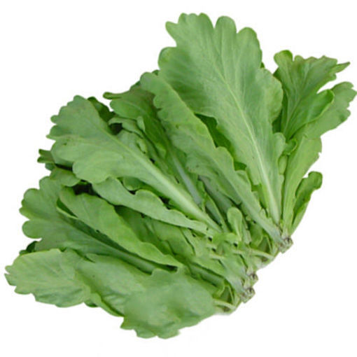 图片 短茼蒿 250-300g 