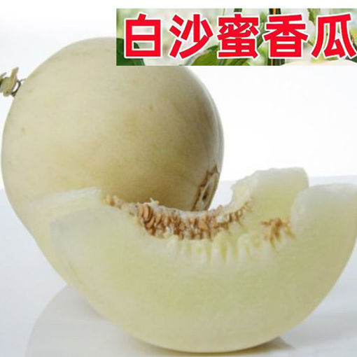 Bild von Melone ca.600g 