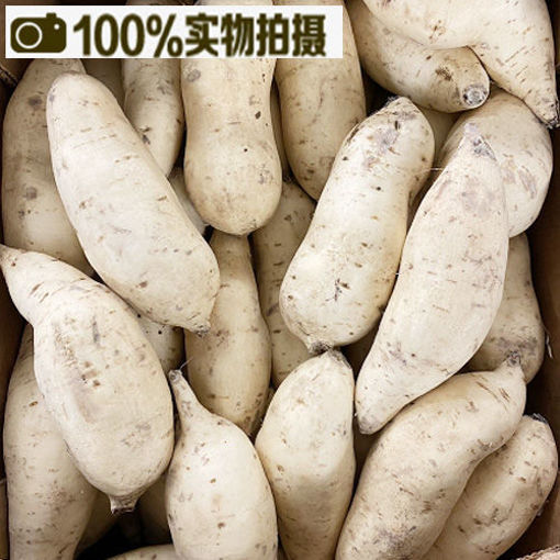 图片 中国 白皮白心番薯 香甜粉面 人参番薯 ca.900g-1kg