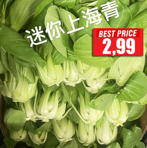 Picture of Mini Shanghai Pak Choi ca.400g