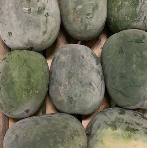 图片 整颗冬瓜! 中国绿皮冬瓜 2.2/2.5KG