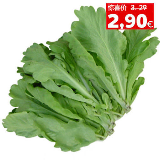 图片 短茼蒿 250-300g 