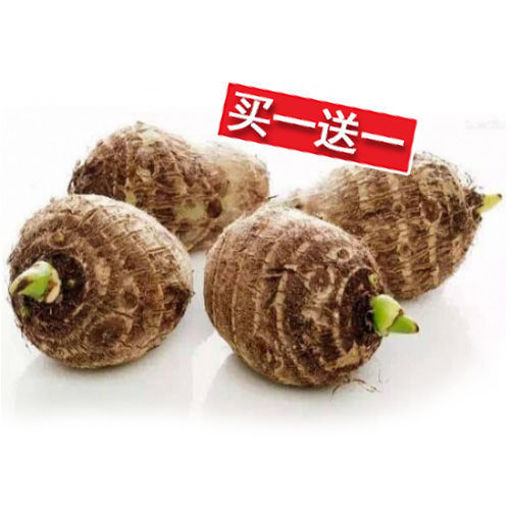 图片 买一送一! 小芋头 ca.450-500g