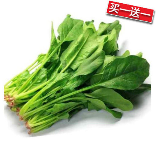 图片 买一送一! 带根中国菠菜 ca.150g
