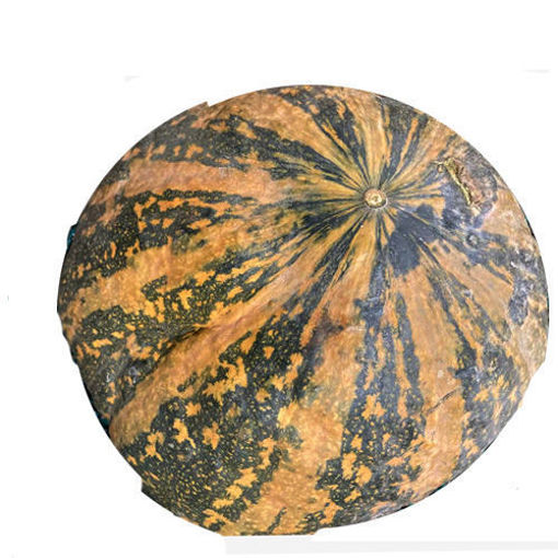 图片 黄色贝贝南瓜 香甜软糯 ca. 2kg